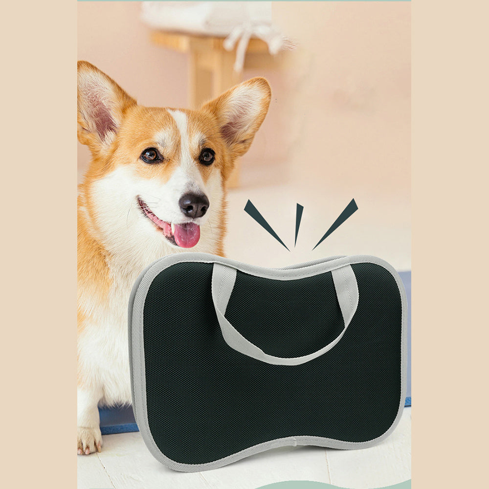 Professional Dog/Cat Grooming Kit