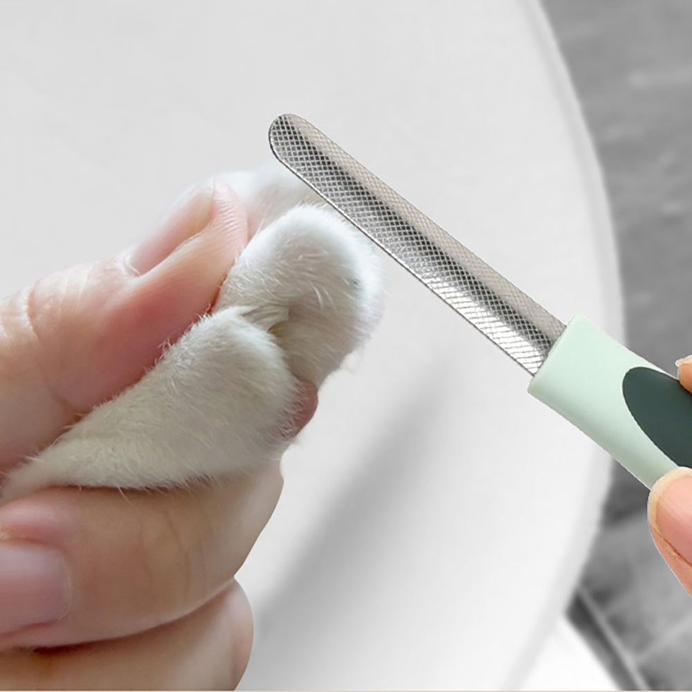 Professional Dog/Cat Grooming Kit