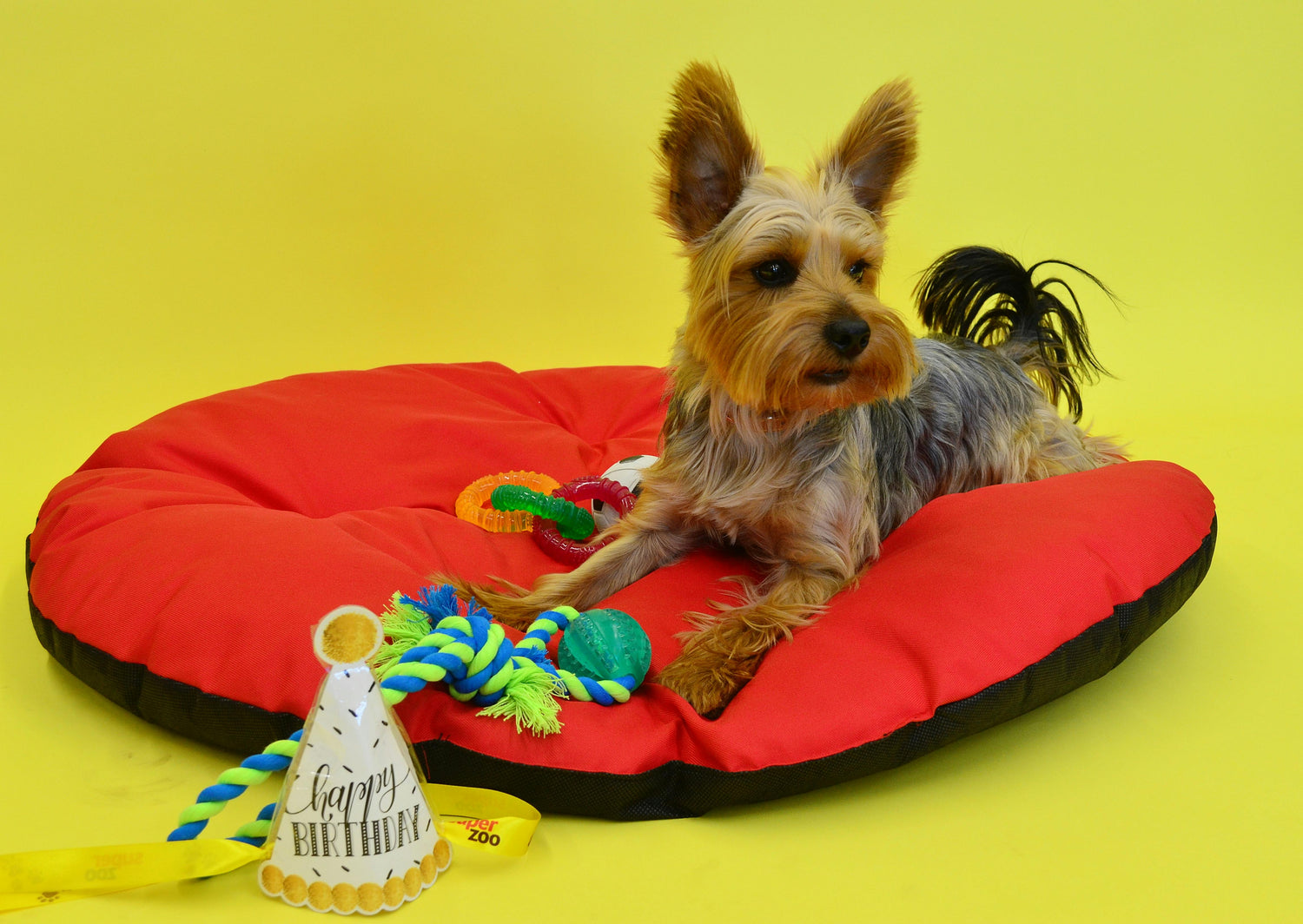 Pet Supplies