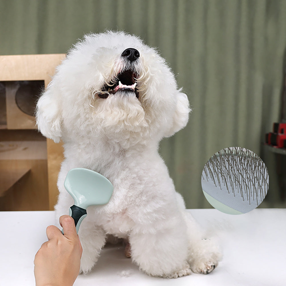 Professional Dog/Cat Grooming Kit