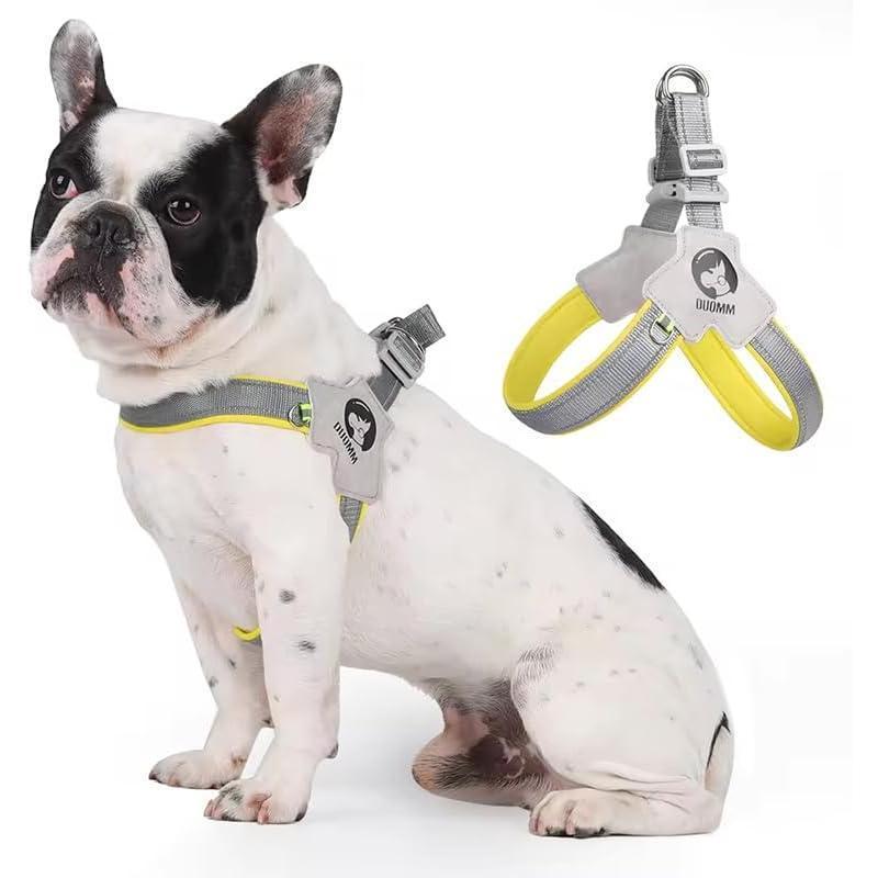 Pet Dog Cat Harness, Pet Harness With LeashSet, Adjustable Puppy Harness Comfortable